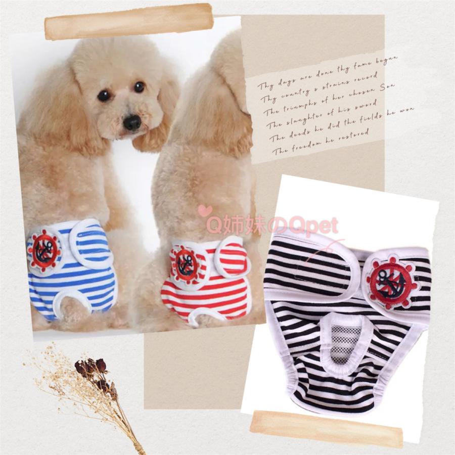 追跡メール便送料無料】犬用 マナーパンツ メス ペット用 サニタリーパンツ 犬 猫 生理用パンツ 介護 おむつカバー ケアパンツ ボーダー柄 マリン柄 #19026SML :19026SML:Q姉妹のQpet - 通販 - Yahoo!ショッピング 追跡メール便送料無料】犬用 マナーパンツ メス ペット用 サニタリーパンツ 犬 猫 生理用パンツ 介護 おむつカバー ケアパンツ ボーダー柄 マリン柄 #19026SML :19026SML:Q姉妹のQpet - 通販 - Yahoo!ショッピング