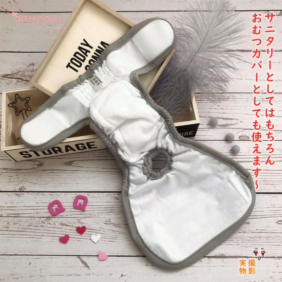 メール便送料無料 犬用 マナーパンツ ペット用 サニタリーパンツ 犬 メス 生理用パンツ 介護 おむつカバー ケアパンツ 女の子 発情期用 M L Jy Yd 05ml Q姉妹のqpet 通販 Yahoo ショッピング