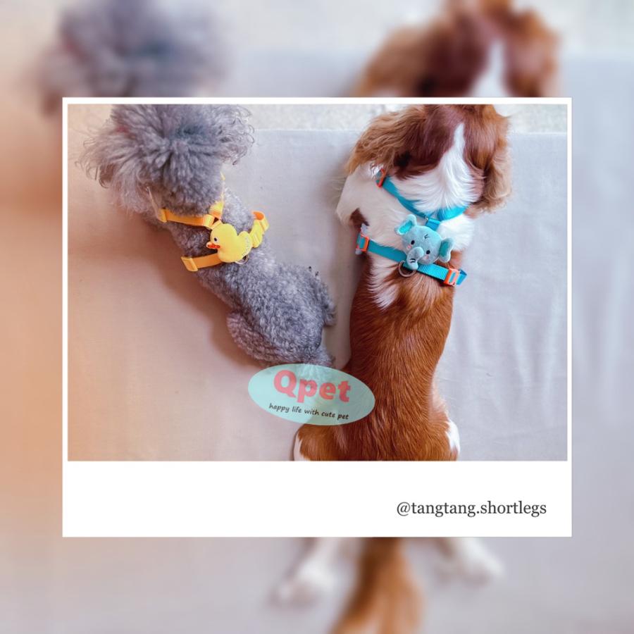 2025春夏新価格】犬用 ハーネス リード セット ベストタイプ 散歩