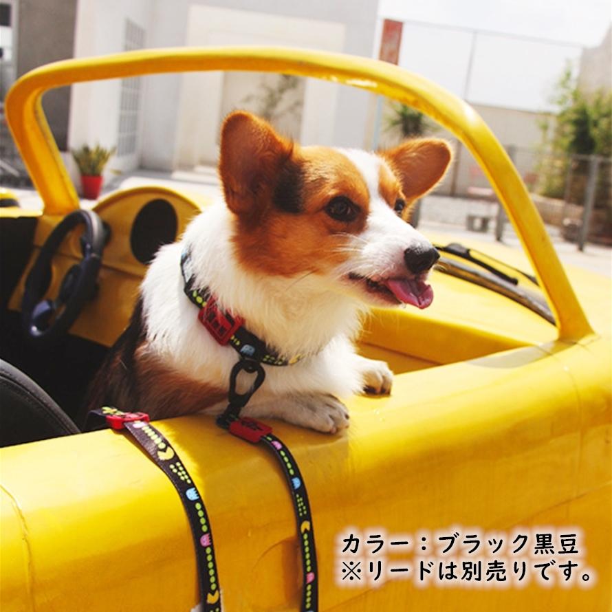期間限定セール 犬 首輪 大型犬 中型犬 犬用 犬首輪 上品