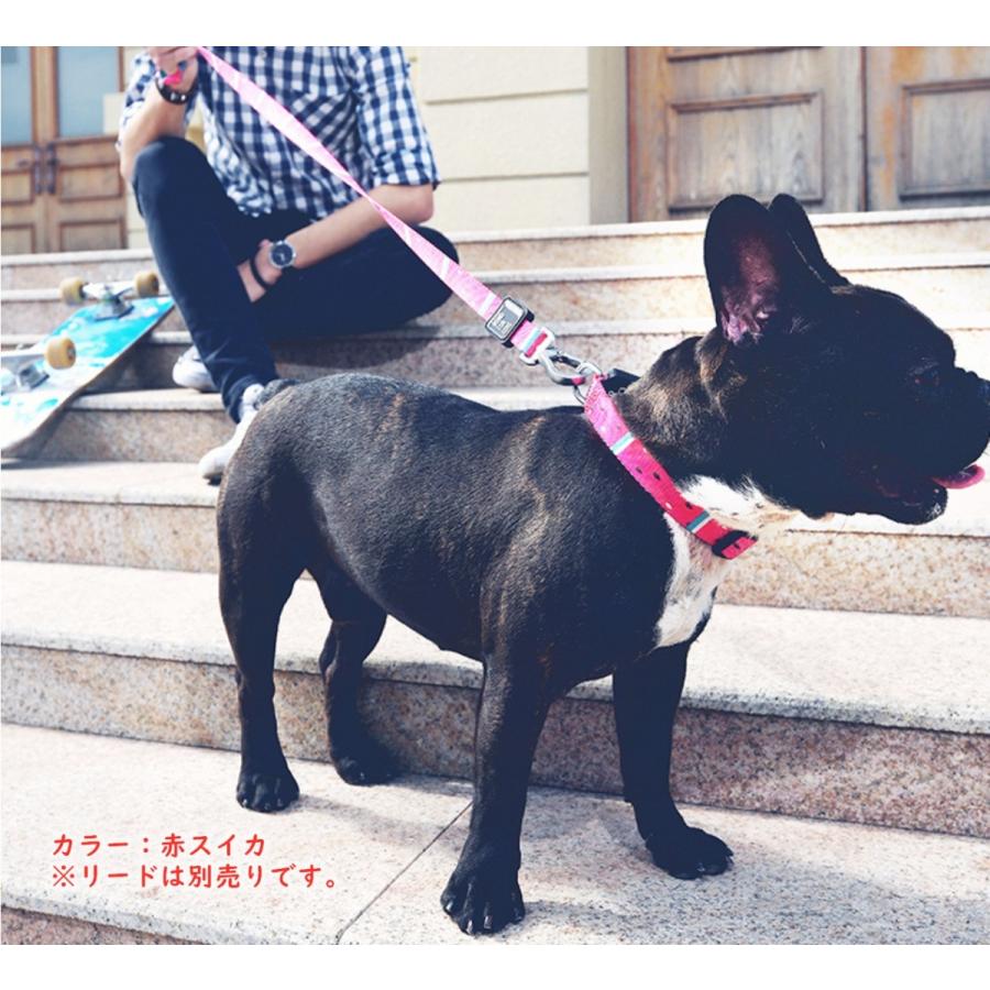 メール便送料無料 期間限定セール 犬 首輪 大型犬 中型犬 犬用 首輪 犬首輪 上品 おしゃれ 丈夫 ソフト お寿司柄 花柄 クマ柄 Is Pet L Ip02l Ip02l Q姉妹のqpet 通販 Yahoo ショッピング