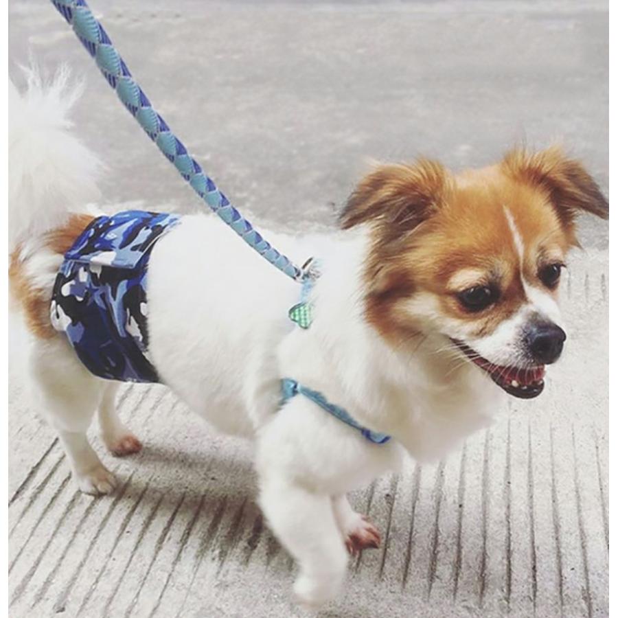 追跡メール便送料無料 犬 マナーベルト ドッグ マナーバンド 犬用 マナーウェア メール便無料 オムツカバー 介護 しつけ 男の子 迷彩柄 Mg04 マーキング防止 オス