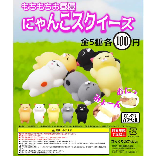 もちもちお昼寝にゃんこスクイーズ 【全5種】【50個入】【48mmカプセル