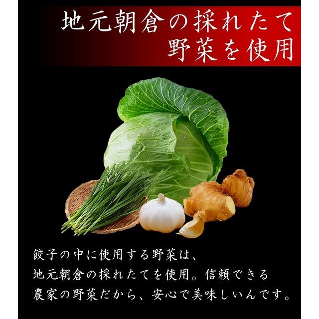 送料無料 手作り餃子 25個入 包 パオ 一品香 ぎょうざ 福岡県朝倉市産 おつまみ 冷凍 中華 Fka017aa09 日本通販ショップ 通販 Yahoo ショッピング