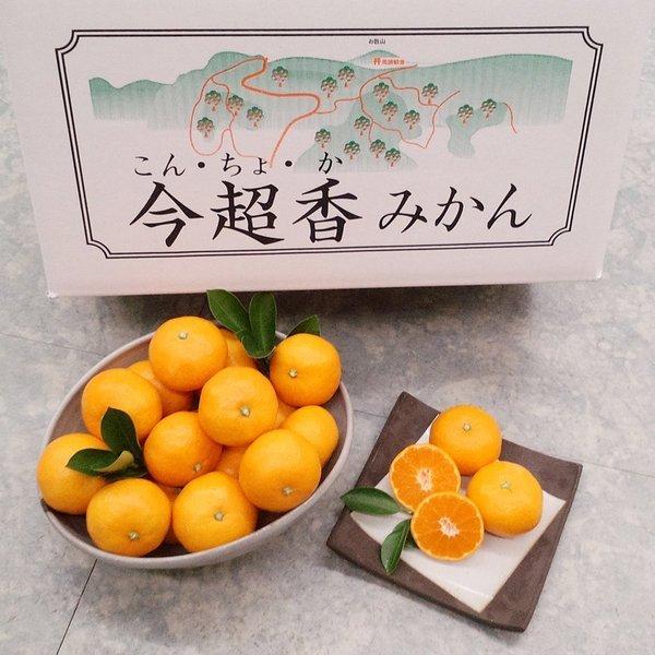 みやま市特産品みかん 今超香 こんちょかみかん 九州福岡県産 産地直送 5kg 1箱 Fkm018aa01 日本通販ショップ 通販 Yahoo ショッピング