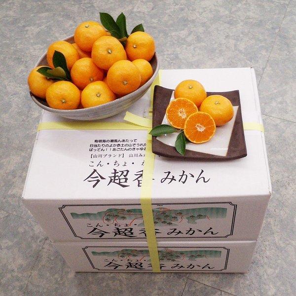 みやま市特産品みかん 今超香みかん こんちょかみかん 九州福岡県産 産地直送 5kg 2箱 Fkm018aa02 日本通販ショップ 通販 Yahoo ショッピング