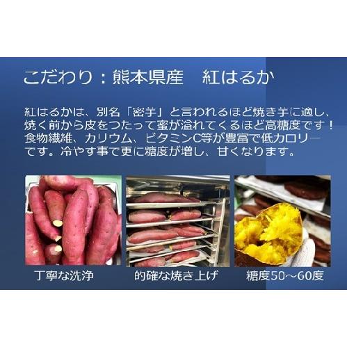 超歓迎 密だれ冷やし焼き芋 2ｋｇセット 10 12本 乃市商店 送料無料 やきいも 急速冷凍 甘い さつまいも 長期間保存 国産 ギフト スイーツ 真空パック Megjc Gov Jm