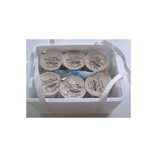 低温殺菌牛乳 佐賀県産 どんぐり村のジャージーヨーグルト12個セット Sgc002aa03 日本通販ショップ 通販 Yahoo ショッピング