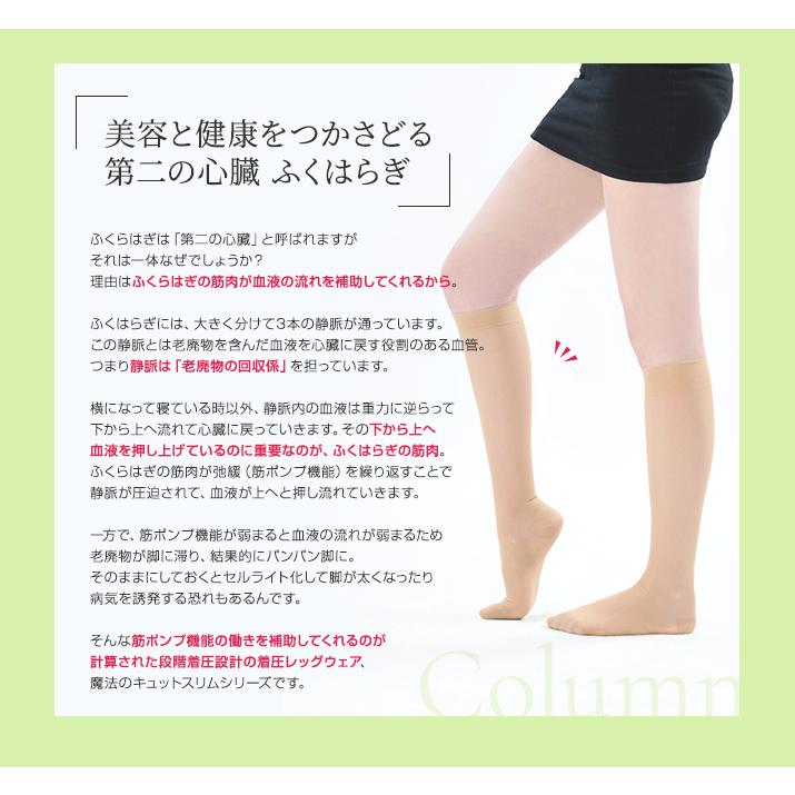 滑り止め付き 着圧ソックス 弾性ソックス ハイソックス 飛行機