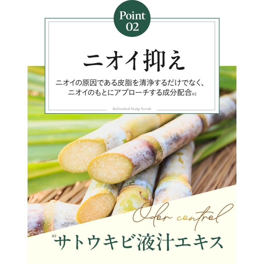 【本日30％OFF！】ヘッドスクラブ 頭皮ケア スカルプ 頭皮臭 ニオイ クレンジング 頭皮マッサージ ヘッドスパ【KOTONA・Refreshed Scalp Scrub】 |  | 12