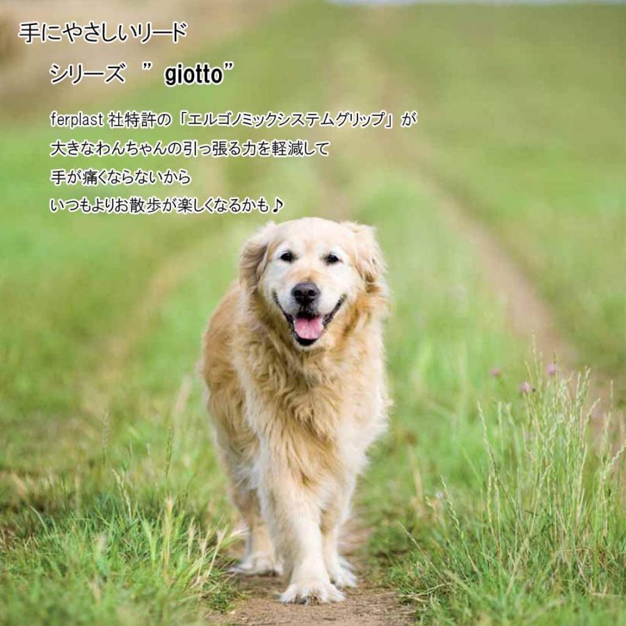 50 Off ファープラスト ジオット ショートリード ブラック 超大型犬用 Gm25 60 ポイント10倍 Aonestationery Co Uk