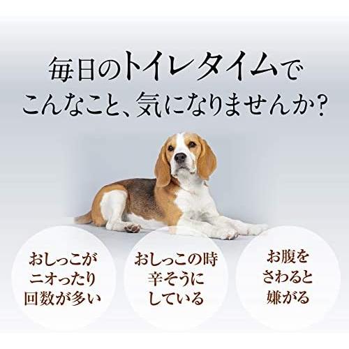 犬 猫 ペット 尿路結石に おやつ で出けっせき 結石 取ります ストルバイト 用80g 無添加 サプリ おやつ Quad Store 通販 Yahoo ショッピング