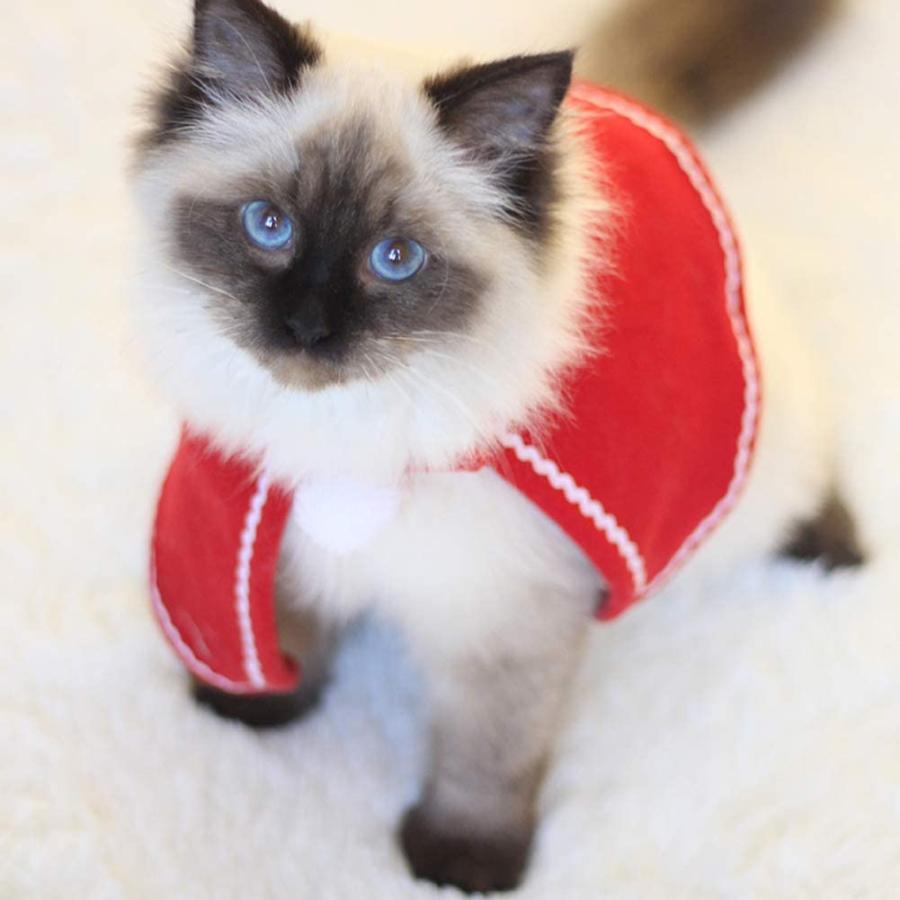MinniLove 猫 犬 ペット クリスマスドレスアップ マントセット 赤い 
