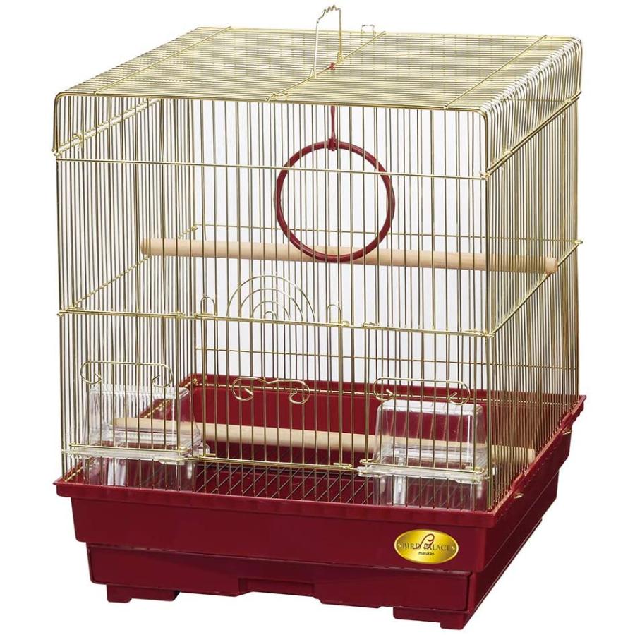 驚きの安さ マルカン バードパレスクィーン Mb 半額品 Wolbergstudio Com