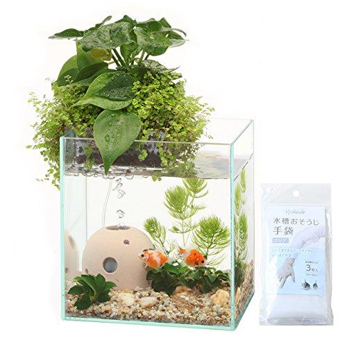 数量限定 アクアテリア N160 金魚用 ガラス水槽と水耕栽培プランター 水槽おそうじ手袋セット 超大特価 Zoetalentsolutions Com