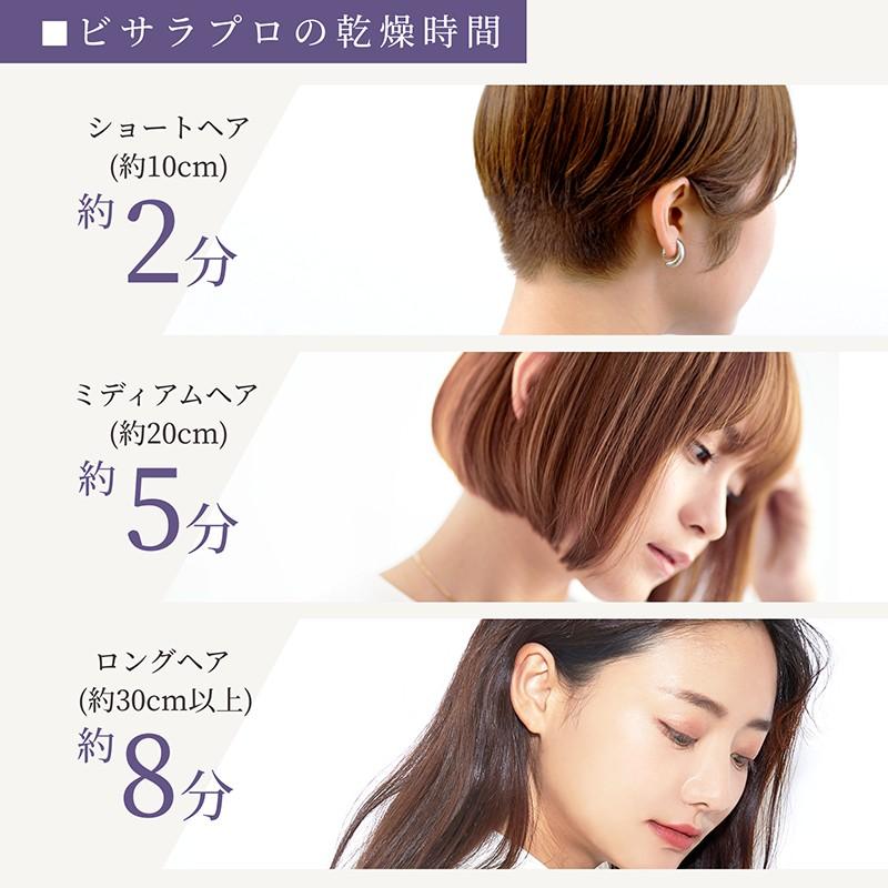 BISARA quad ブラック ヘアドライヤー ヨドバシ.com - QUADS クワッズ BISARA STICK（ビサラ