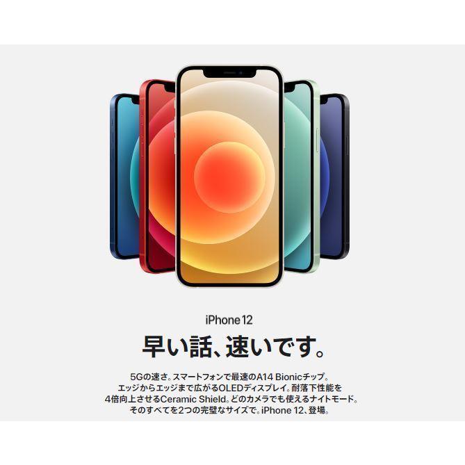 「新品 未開封品 」SIMフリー iPhone12 64GB Green グーリン ※赤ロム保証 [メーカー保証付き][正規SIMロック解除済][アイフォン][MGHT3J/A][A2402]｜quality-shop｜03