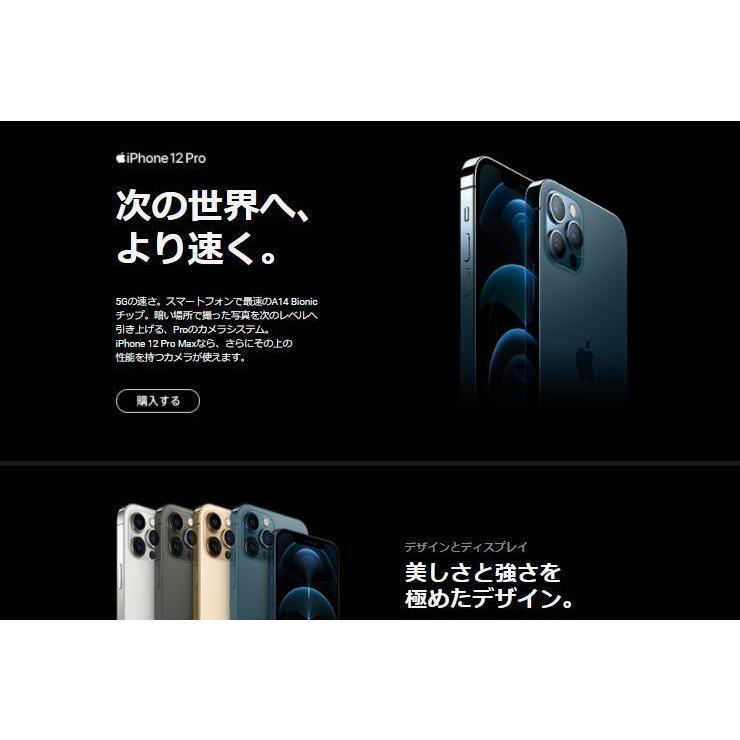 iPhone 12 Pro 「新品 未使用品 」SIMフリー iPhone12 256GB Pacific