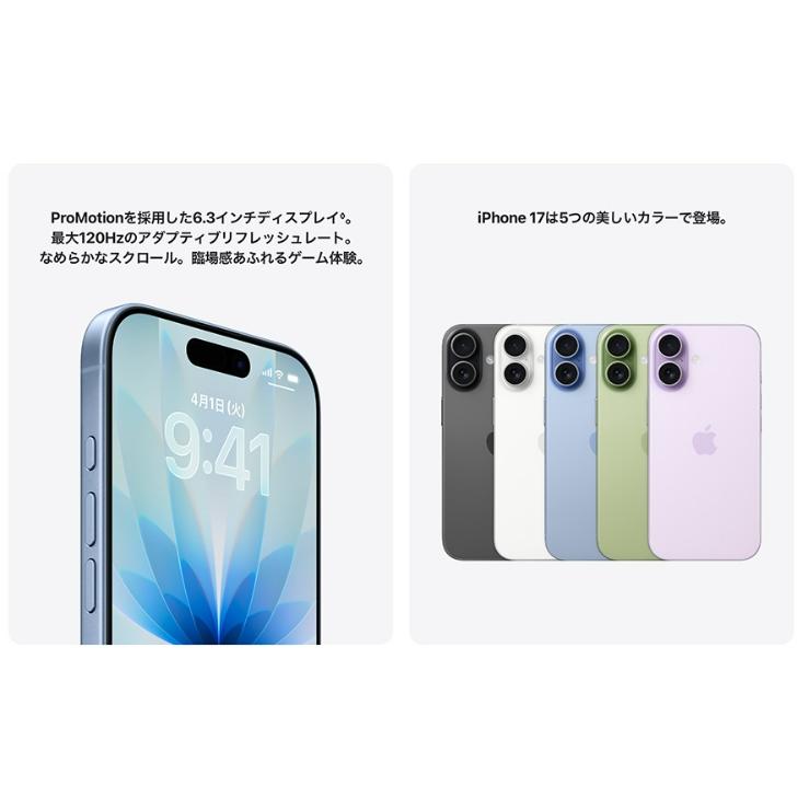 iPhone 17 「新品・未開封品」 SIMフリー 256GB セージ