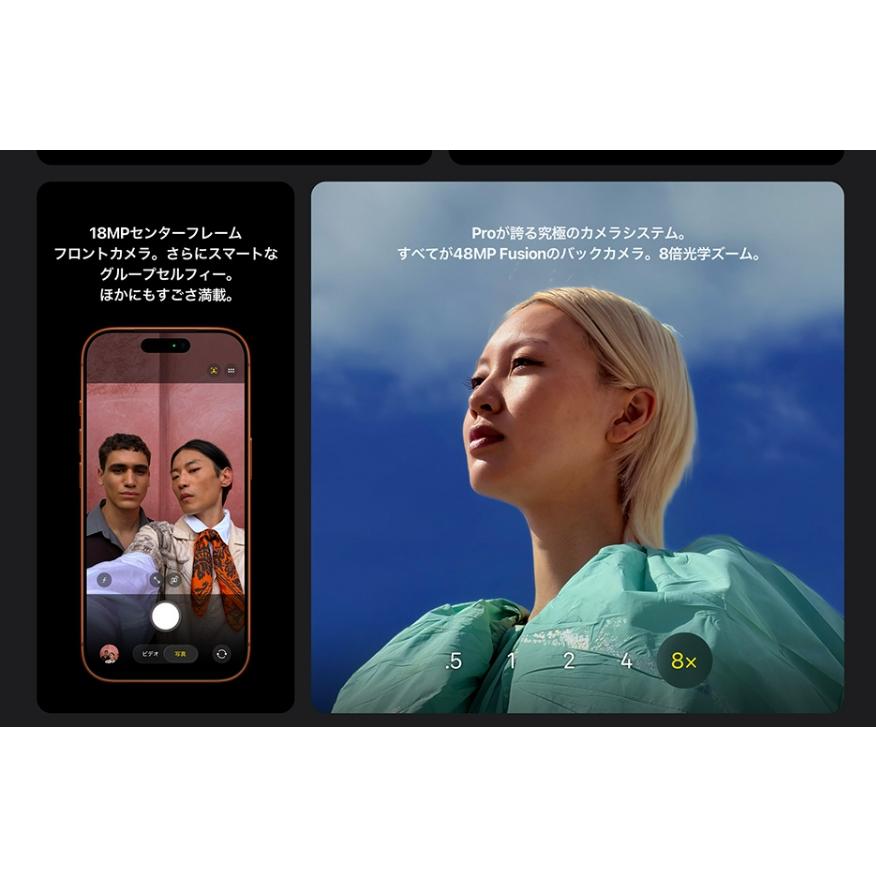 ☆最終お値下げ☆新品未使用未開封☆Apple iPhone 17 256 GB iPhone 17 Pro Max 『新品未開封』iPhone 256GB SIMフリー