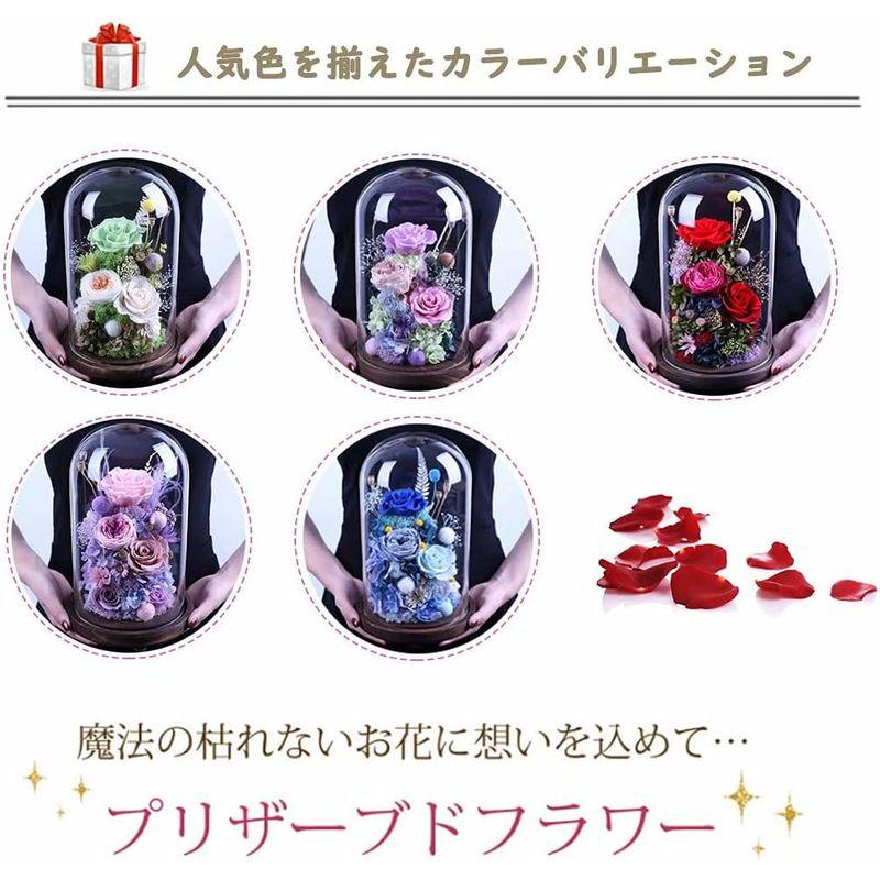 プリザーブドフラワー 枯れない花 プレゼント 花 結婚記念日 妻 バラ ギフト ガラスポット ケース入り ぶりざーどフラワー 薔薇 ドライフ 　 結婚記念日 枯れない花 プレゼント 花 妻 バラ ギフト ガラスポット ケース入り ぶりざーどフラワー 薔薇