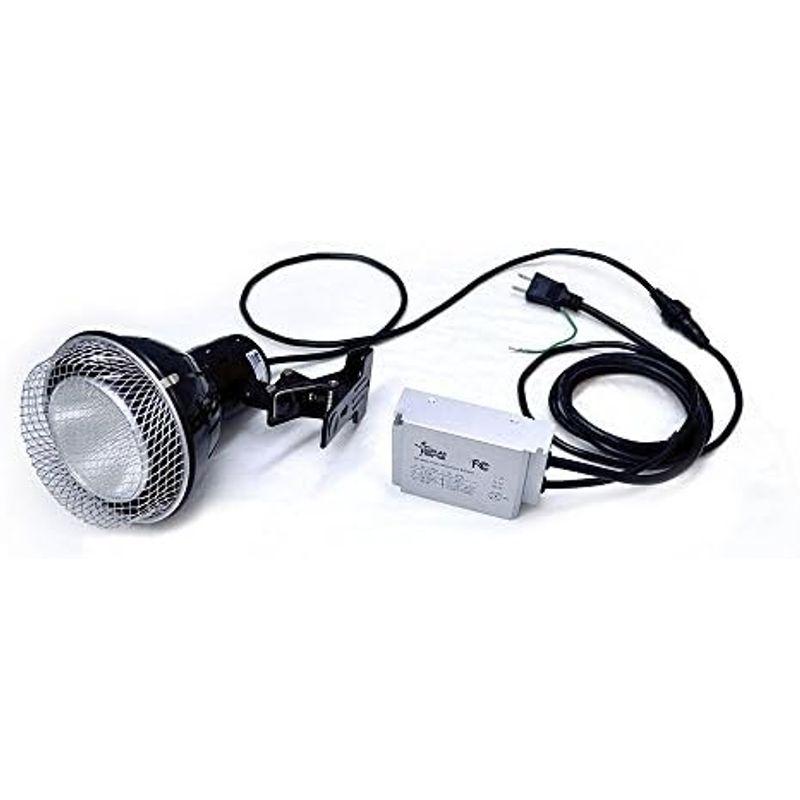 【訳あり・新品】 ゼンスイ ソーラーラプター HIDランプ 70W 【VQL6539631188】(23549円)