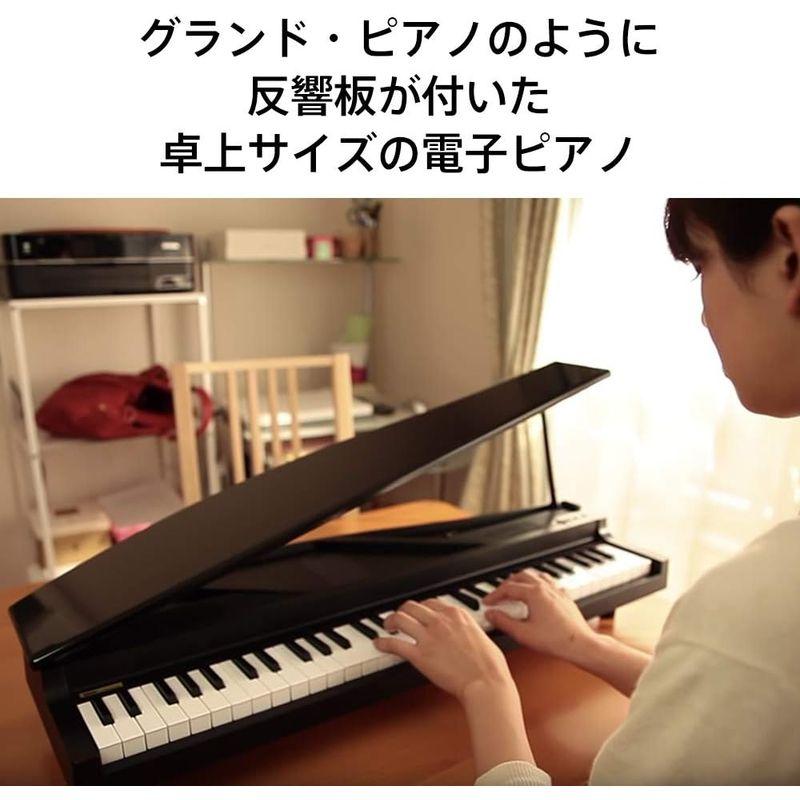 KORG MICROPIANO マイクロピアノ ミニ鍵盤61鍵 レッド 61曲のデモソング内蔵 自動演奏可能｜qualityfactory｜06