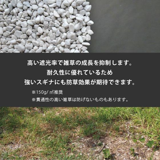 防草シート 1m × 50m （標準タイプ） ピン プレゼント 除草シート 雑草