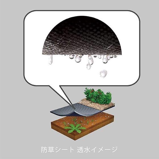 防草シート 1m × 50m （標準タイプ） ピン プレゼント 除草シート 雑草