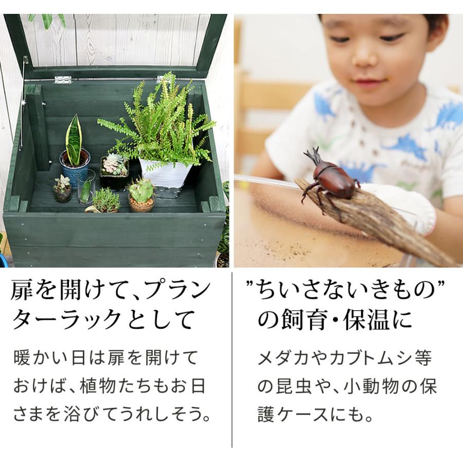 温室 木製窓付グリーンハウス 観葉植物 多肉 ハーブ サボテン