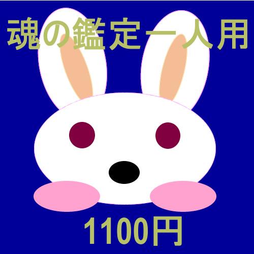 スーパーセール期間限定 スピリチュアル鑑定 一人用 心の状態 を鑑定致します 魂の状態 休日も対応しています