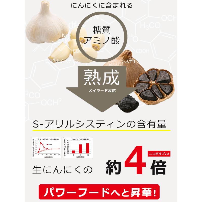 黒にんにく発酵器 黒にんにく ニンニク メーカー 製造機 熟成機 発酵器