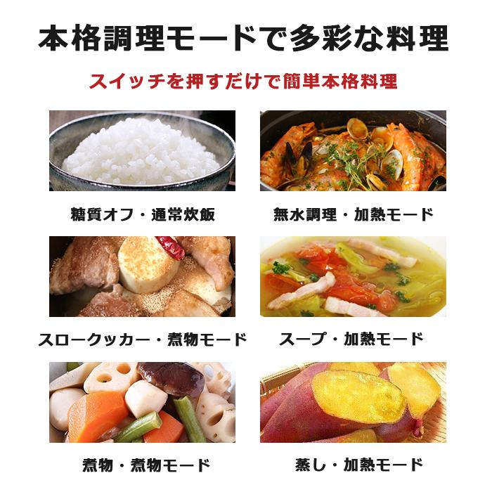 炊飯器 糖質オフ 糖質20%OFF 多機能調理 無水調理 蒸し調理 スロー