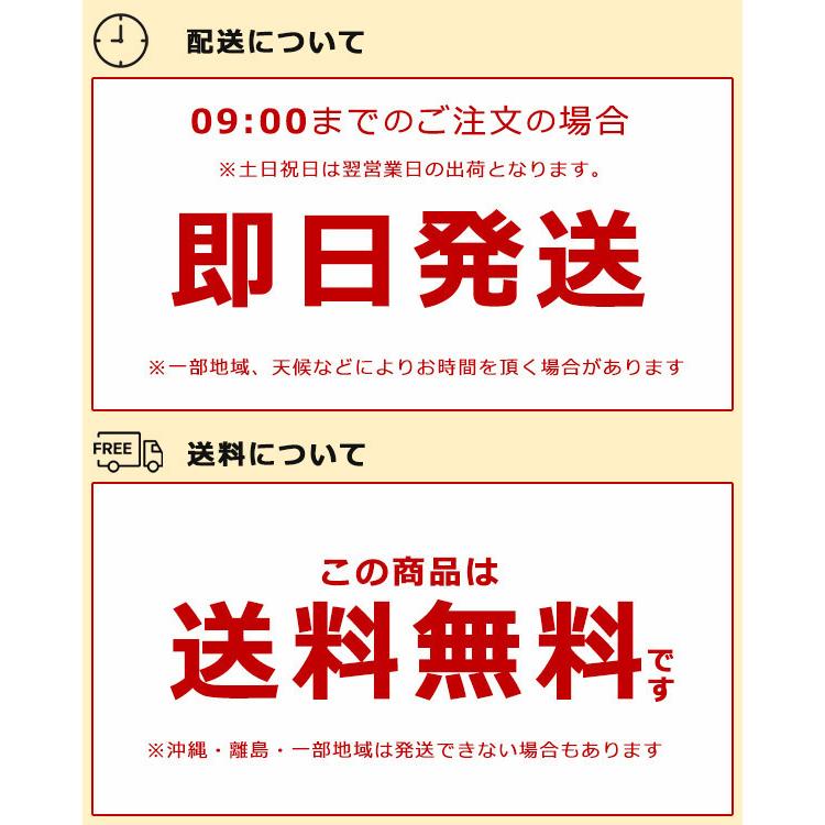 カーナビ 7インチ ポータブルナビ 2025年リリース版ゼンリン社監修地図