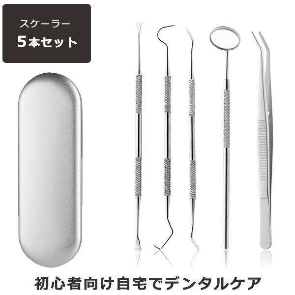 スケーラー 5点セット デンタルケア ケース付き 男女兼用 歯石取り 歯