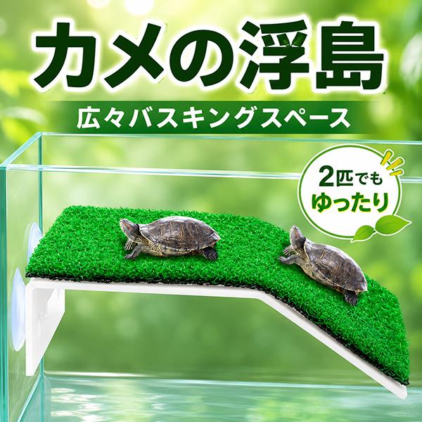 浮島 水槽 水槽用 亀 カメ 金魚 熱帯魚 爬虫類 ペット 吸盤 日光浴
