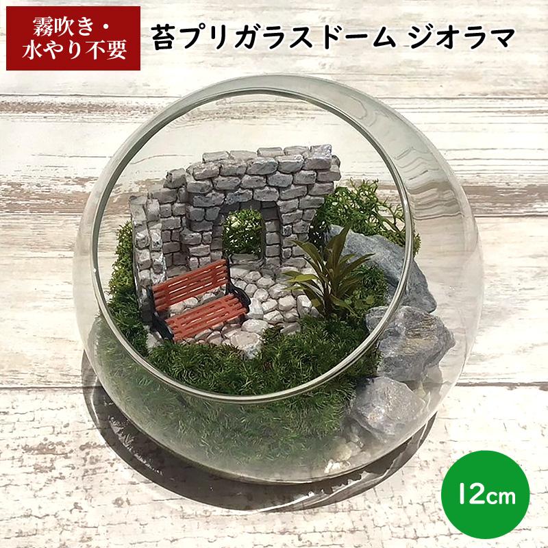 テラリウム プリザーブド 苔 インテリア 置物 苔プリ ガラスポット