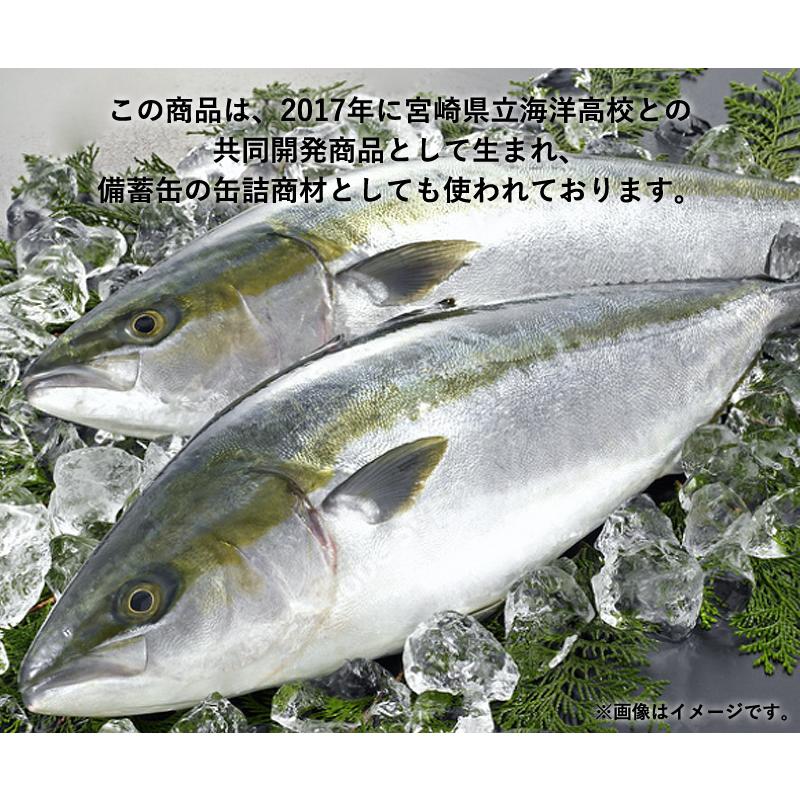 缶詰 宮崎海洋切干ぶり大根 6個り ブリ ぶり 鰤 大根 キャンプ アウトドア非常食 保存食 長期保存 長期保存食品 備蓄食品 防災 長期 保存 食｜quattroangoli｜04