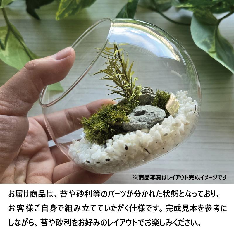 苔テラリウム 完成品 枯れない苔 ガラスドーム 10cm 水やり不要 霧吹き