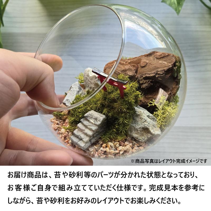 苔プリ ガラスドーム 12cm 鳥居タイプ テラリウム 完成品 枯れない苔