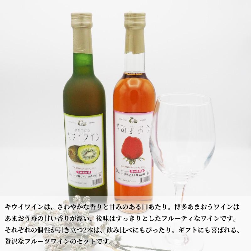 ワイン 博多 フルーツワイン 2種セット 500ml 立花ワイン キウイワイン