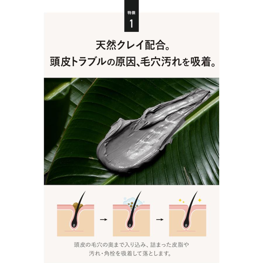 シャンプー つめかえ用 メンズ 男性用 ボタニカル ヘア＆ スカルプ シャンプー クワトロボタニコ   コンディショナー不要　ノンシリコン 頭皮 フケ かゆみ | QUATTRO BOTANICO | 03