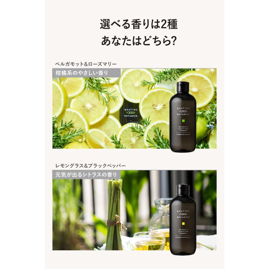 シャンプー メンズ男性用 スカルプ ギフト ボタニカル ヘア スカルプシャンプー ノンシリコン お歳暮 クリスマス プレゼント Shampoogift クワトロボタニコヤフーストア 通販 Yahoo ショッピング