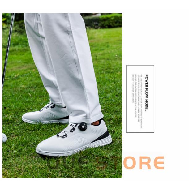 ホワイトレザー ゴルフシューズ ECCO Golf BIOM C4 Men メンズ レザーGore-Texゴルフシューズ
