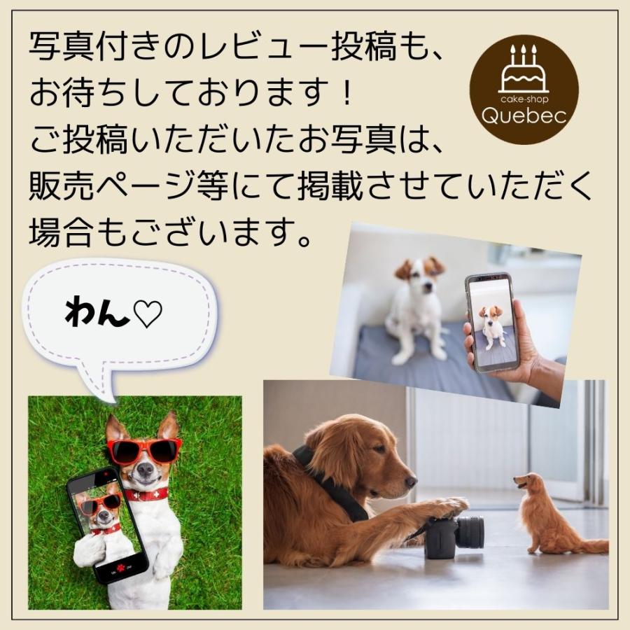 【あす楽】犬用ケーキ 誕生日ケーキ 米粉のいちごケーキ 可愛いプレート付(名入れ不可、即日発送可能) グルテンフリー バースデーケーキ |  | 03