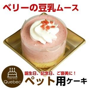 飼い主も一緒に食べられる ワンちゃん用 コミフ ベリーの豆乳ムース ペットケーキ 暮らしの総合デパートケベック 通販 Yahoo ショッピング