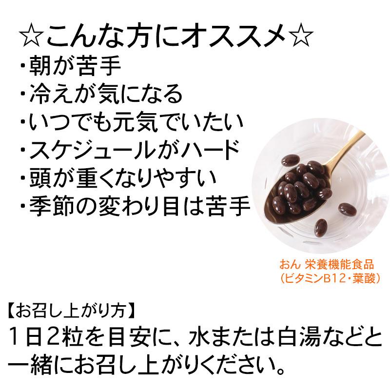 アーデンモア 健康食品 おん 栄養機能食品（ビタミンＢ12・葉酸）60粒 ソフトカプセルタイプ |  | 02