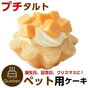 犬用ケーキ 誕生日ケーキ プチタルト(チーズ味)  ペットケーキ | 
