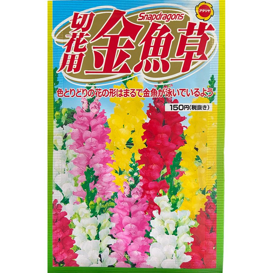 アタリヤ農園 切花用 金魚草 キンギョソウ きんぎょそう w053 暮らしの総合デパートケベック 通販 Yahoo ショッピング