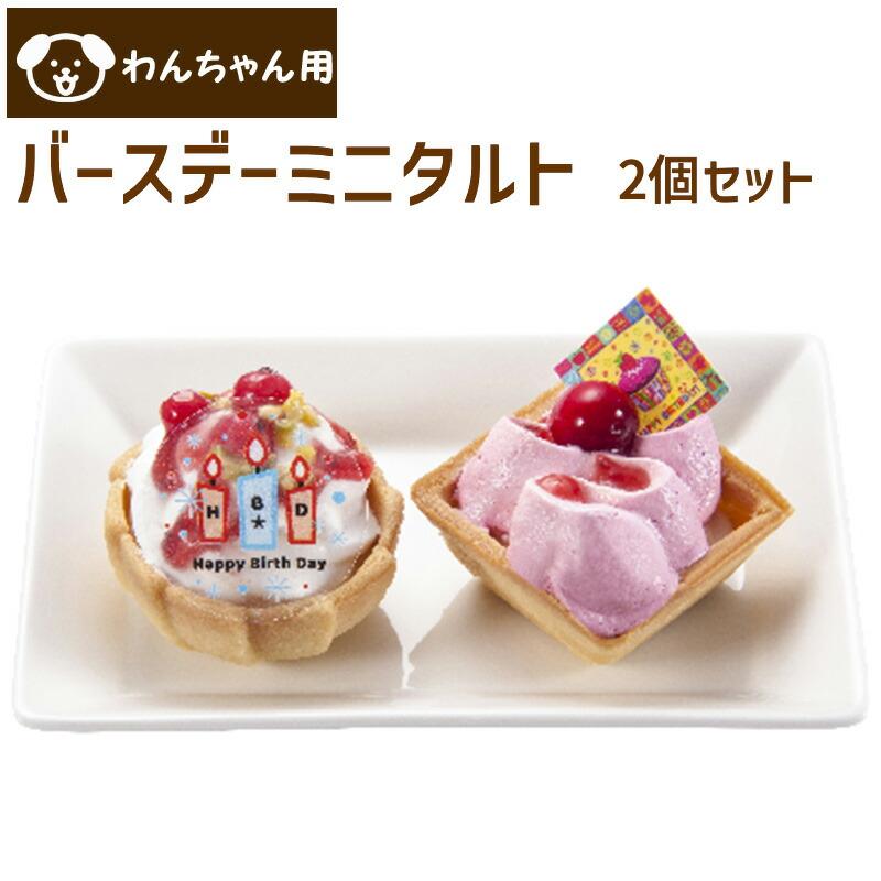 犬 ケーキ 誕生日 コミフ バースデーミニタルト 2個セット 犬用 ケーキ 飼い主様も一緒にお召し上がりいただけるスイーツ | 